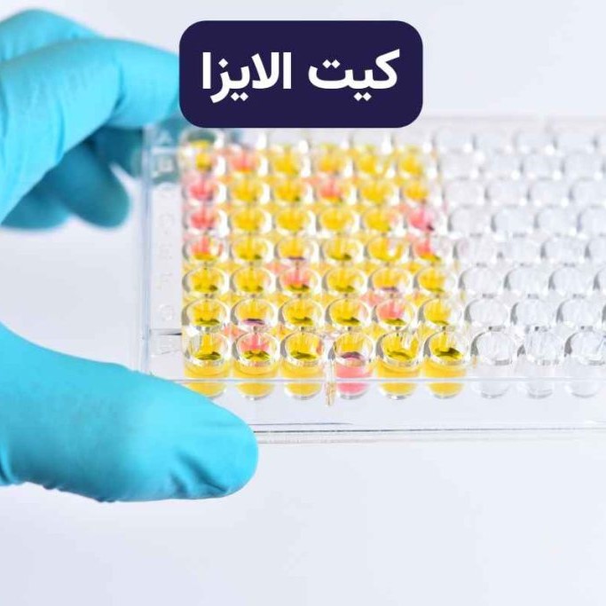 کیت الایزا